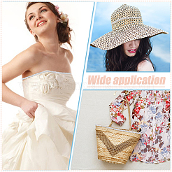 Braided Polyester Lace Ribbons&nbsp;SRIB-DR0001-03B