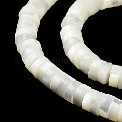 Natural Trochus Shell Beads Strands&nbsp;BSHE-E030-09A-01