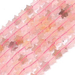 天然のバイオレットストロベリークォーツビーズの連  スター  5.5x6.5x2.5mm  穴：0.8~1mm  約73~78個/連  15.35~15.47インチ（39~39.3cm）&nbsp;G-G085-B61-02