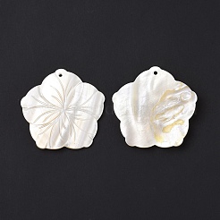 Natural Freshwater Shell Pendants&nbsp;SHEL-H001-04