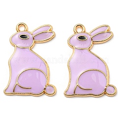 Alloy Pendants&nbsp;ENAM-L042-03G