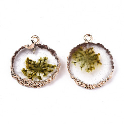 Transparent Clear Epoxy Resin & Dried Flower Pendants&nbsp;RESI-S383-075-C02