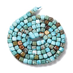 Natural Howlite Beads Strands&nbsp;G-G001-A03-06