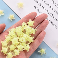 Transparent Acrylic Beads&nbsp;TACR-S152-11A-07
