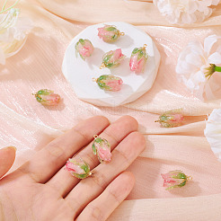 10Pcs Transparent Acrylic Pendants&nbsp;SACR-TA0001-66B