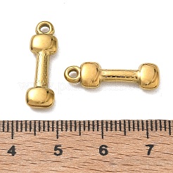 304 Stainless Steel Pendants&nbsp;SA-CBAAC28-29G