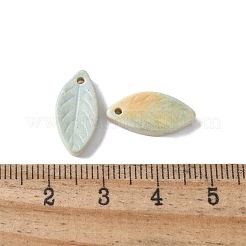 Natural Rainbow Alashan Agate Pendants&nbsp;G-G194-03C