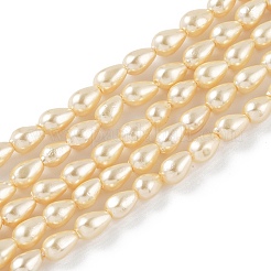 ポリッシュシェルパールビーズ連売り  ティアドロップ  シャンパンゴールド  8x5mm  穴：0.8mm  約55個/連  15.94インチ(40.5cm)&nbsp;BSHE-L042-A06
