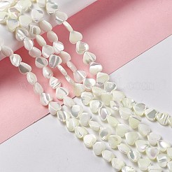 Natural Trochid Shell/Trochus Shell Beads Strands&nbsp;SHEL-F003-08A
