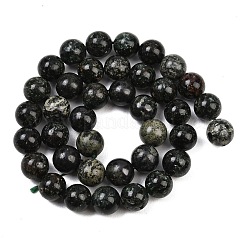 Natural Seraphinite Beads Strands&nbsp;G-H337-A03-05