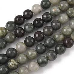 Natural Green Line Jasper Beads Strands&nbsp;G-G735-55-8mm