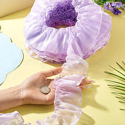 Polyester Lace Ribbon&nbsp;OCOR-TAC0035-25F