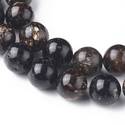 Natural Biotite Beads Strands&nbsp;G-L528-06B