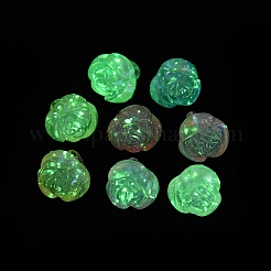 Transparent Acrylic Pendants&nbsp;MACR-D024-39