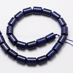 Natural Lapis Lazuli Column Bead Strands&nbsp;G-M264-16