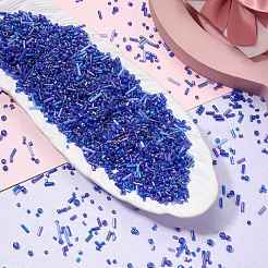 100G Glass Seed Beads&nbsp;SEED-SZ0001-027C