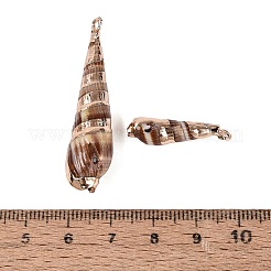 Electroplate Natural Spiral Shell Pendants&nbsp;SSHEL-Q100-50G