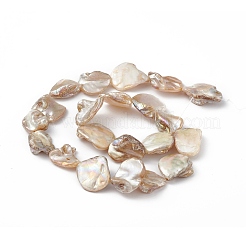Abカラーメッキ天然淡水シェルビーズ連売り  菱形  16.5~22x15~25x3~13mm  穴：1mm  約19~20個/連  15.43~15.87インチ（39.2~40.3cm）&nbsp;X-BSHE-G033-03B