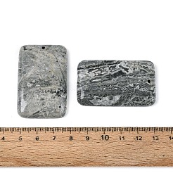 ナチュラルマップストーンペンダント  長方形チャーム  48x30x7~7.5mm  穴：1.8~2mm&nbsp;G-N361-04A