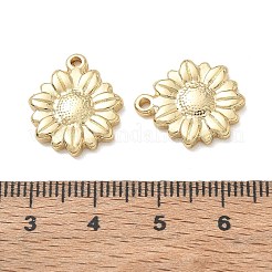 304 Stainless Steel Pendants&nbsp;SA-CBA3037-25G-02