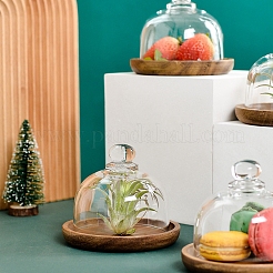Glass Dome Cloche Cover&nbsp;PW-WG67980-01