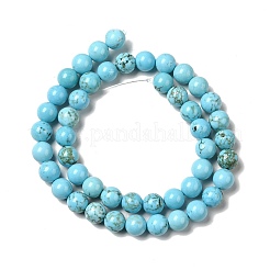 Dyed & Heated Natural Magnesite Beads Strands&nbsp;G-G924-01B-02