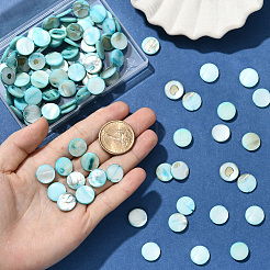 4連売り天然シェルビーズ連売り  染め  フラットラウンド  淡いターコイズ  13.5~15.5x3mm  穴：1~1.2mm  26~27個/連  14.1~14.3インチ&nbsp;SHEL-SC0001-80