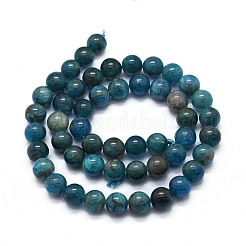 Natural Apatite Beads Strands&nbsp;G-F591-01