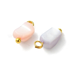 Rainbow Color Dyed Natural Freshwater Shell Pendants&nbsp;PALLOY-JF05544