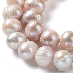 Natural Cultured Freshwater Pearl Beads Strands&nbsp;PEAR-E019-14