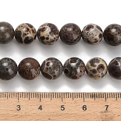 天然アストロライトジャスパービーズ連売り  ラウンド  10~10.5mm  穴：0.8mm  約36~38個/連  15.16インチ（38.5cm）&nbsp;G-H329-C02-10mm