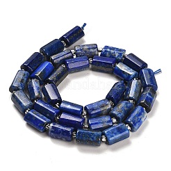 Natural Lapis Lazuli Beads Strands&nbsp;G-G068-A13-01