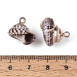 電気メッキ天然貝ペンダント  貝殻の形のチャーム  真鍮パーツ  ゴールドカラー  ココナッツブラウン  13~17x12.5~15.5x11~14mm  穴：1.6~1.8mm&nbsp;BSHE-T015-05