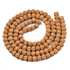 Undyed Natural Rudraksha Beads&nbsp;WOOD-Q047-01B-01