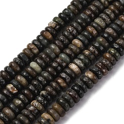 Natural Biotite Jade Beads Strands&nbsp;G-L624-H09-6x2mm