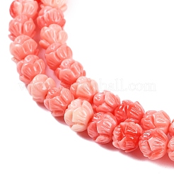 Synthetic Shell Dyed Carved Beads Strands&nbsp;SHEL-C008-01