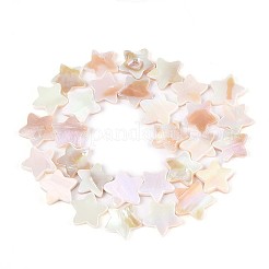 天然淡水シェルビーズ連売り  ABカラーメッキ  スター  貝殻色  14.5~16x14.5~17x2~3.5mm  穴：0.7mm  約29~30個/連  15.55~16.14インチ（39.5~41cm）&nbsp;SSHEL-N040-18