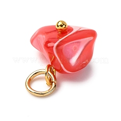 染色された天然トロキッド貝/トロキス貝のペンダント  304ステンレススチールのジャンプリング付きナゲットチャーム  ミックスカラー  ゴールドカラー  8~12x9~19x5~10mm  穴：3.3mm&nbsp;PALLOY-JF04484-01