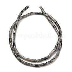 Natural Larvikite Beads Strands&nbsp;G-P600-B08-01