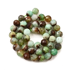 Natural Chrysoprase Beads Strands&nbsp;G-G259-D15-5mm