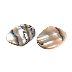 Natural Paua Shell Pendants&nbsp;X-SHEL-T020-11A