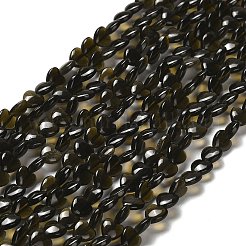 Natural Golden Sheen Obsidian Beads Strands&nbsp;G-P575-C04-6mm