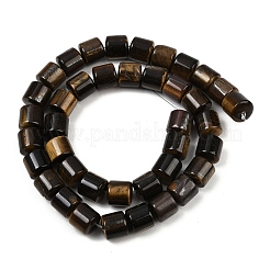 Natural Tiger Eye Beads Strands&nbsp;G-G275-D22-10x10mm