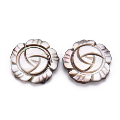 Natural Black Lip Shell Cabochons&nbsp;SSHEL-T014-24