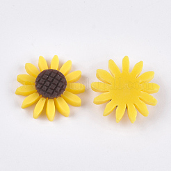 Resin Cabochons&nbsp;X-CRES-T010-62G