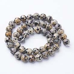Natural Dalmatian Jasper Beads Strands&nbsp;X-GSR004