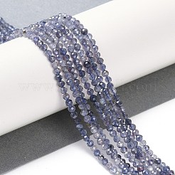 Natural Iolite Beads Strands&nbsp;G-N342-32