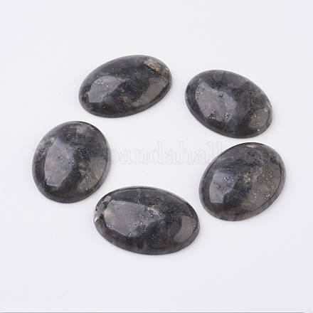 Natural Larvikite Flat Back Cabochons G-G741-30x40mm-04-1