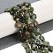 Natural Green Opal Beads Strands, Faceted Pentagonal Cut Coin Beads, Flat Round, with Seed Beads, 10~10.5x5~6mm, Hole: 1mm, about 32~33pcs/strand, 15.75''(40cm)