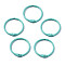 Spray Painted Iron Split Key Rings, Ring, Turquoise, 30x4mm